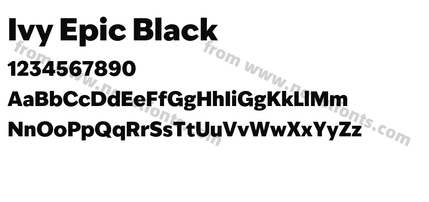Ivy Epic BlackPreview