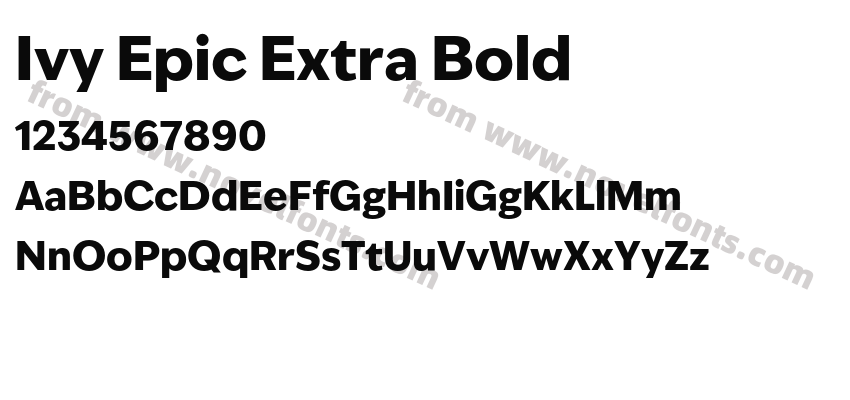 Ivy Epic Extra BoldPreview