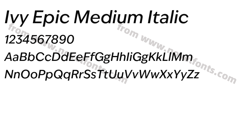 Ivy Epic Medium ItalicPreview