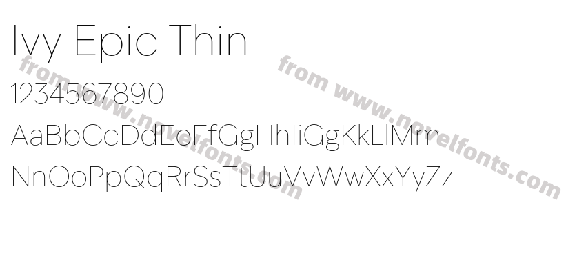 Ivy Epic ThinPreview