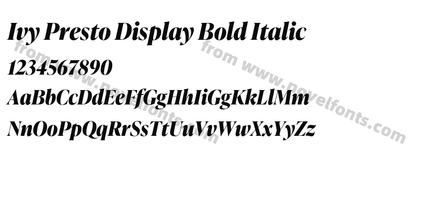 Ivy Presto Display Bold ItalicPreview