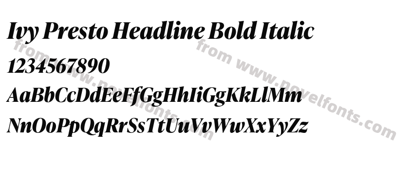 Ivy Presto Headline Bold ItalicPreview