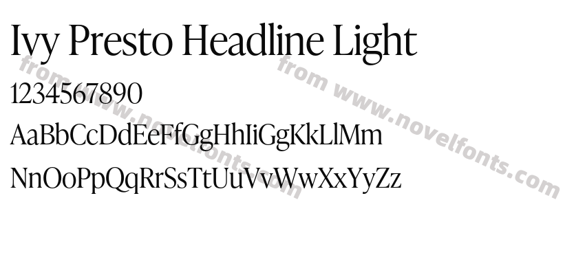 Ivy Presto Headline LightPreview