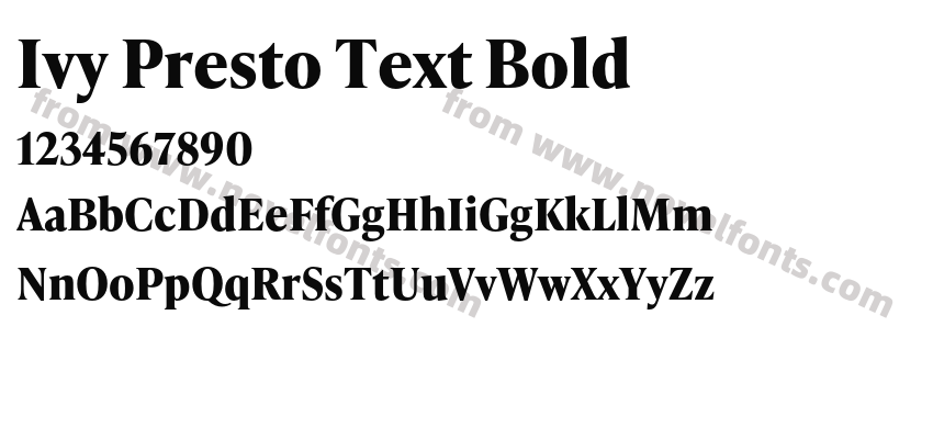 Ivy Presto Text BoldPreview