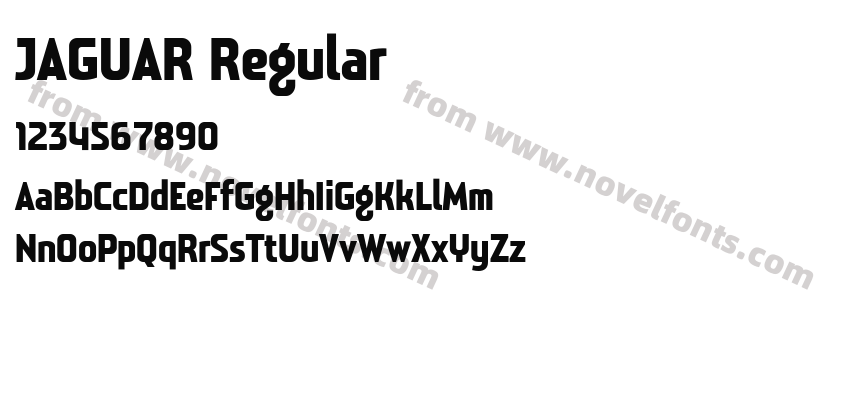 JAGUAR RegularPreview