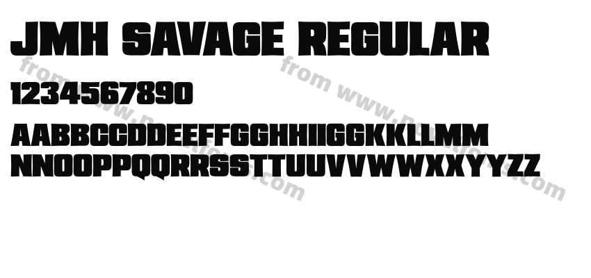 JMH Savage RegularPreview