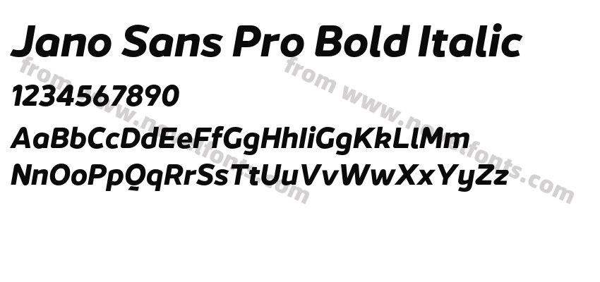Jano Sans Pro Bold ItalicPreview