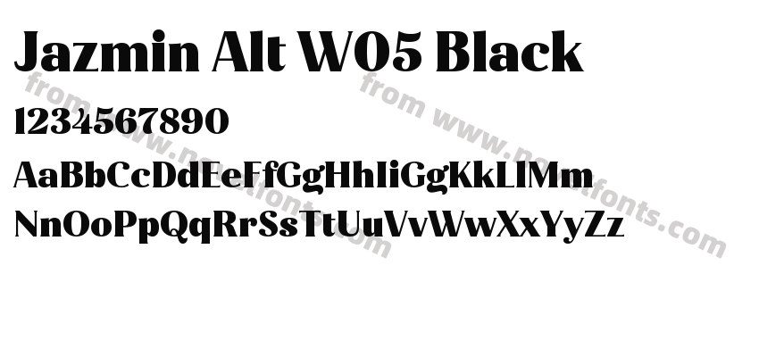 Jazmin Alt W05 BlackPreview