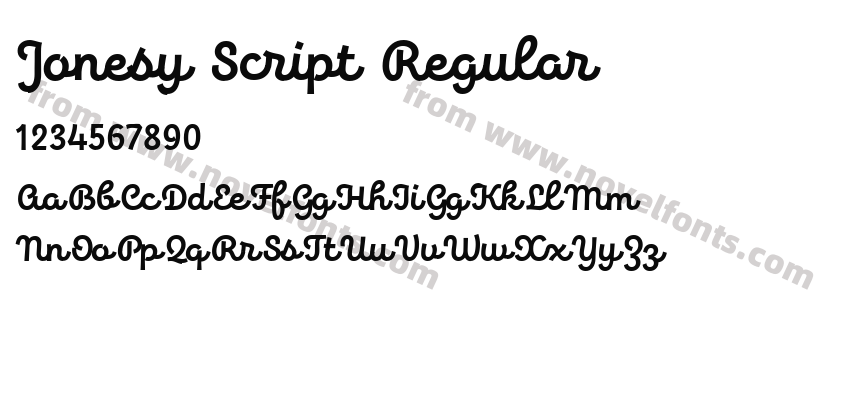Jonesy Script RegularPreview