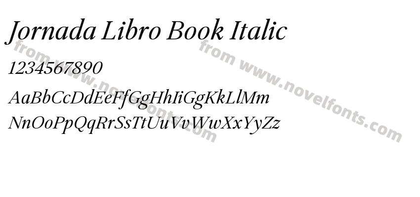 Jornada Libro Book ItalicPreview