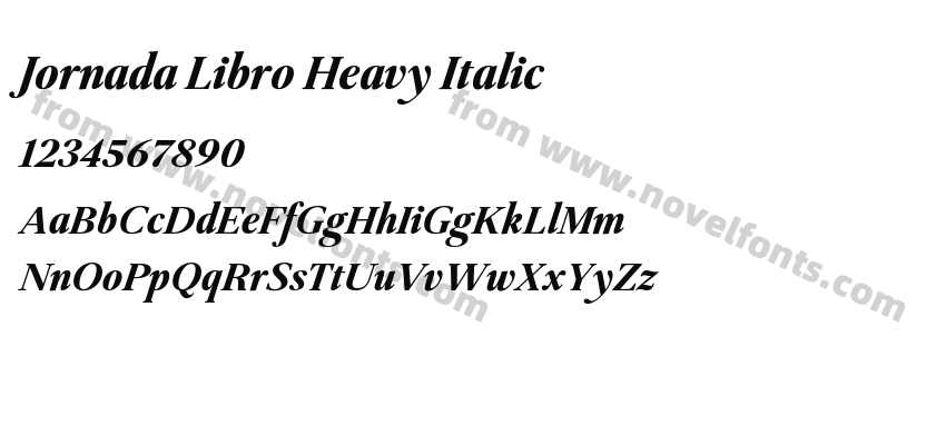 Jornada Libro Heavy ItalicPreview