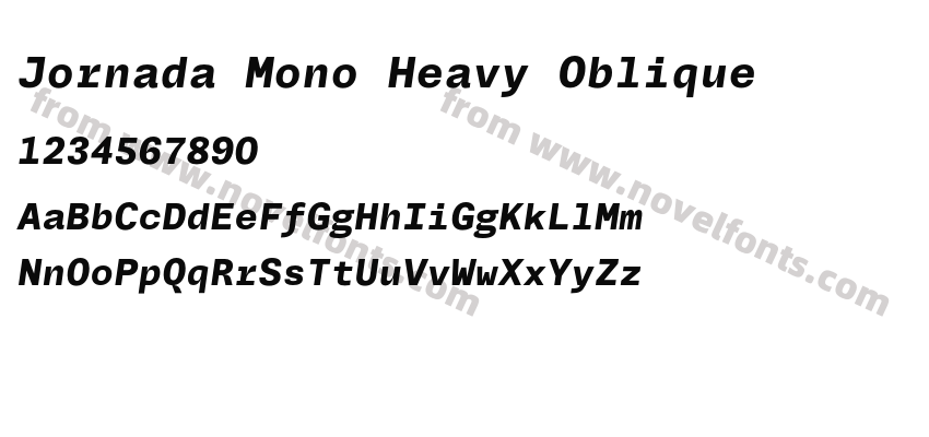 Jornada Mono Heavy ObliquePreview