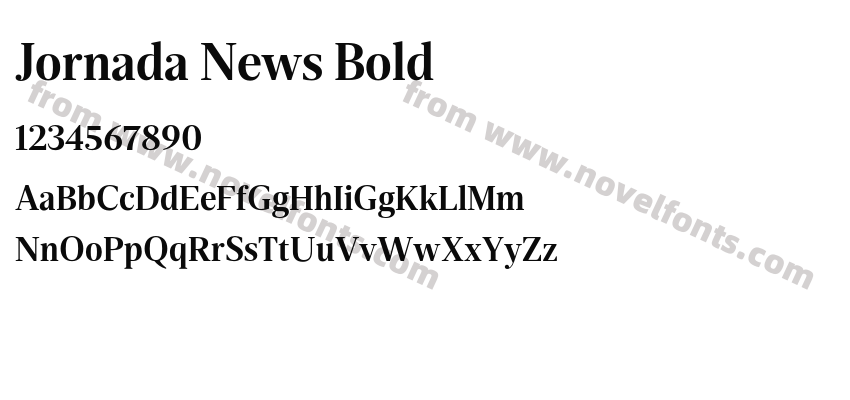 Jornada News BoldPreview