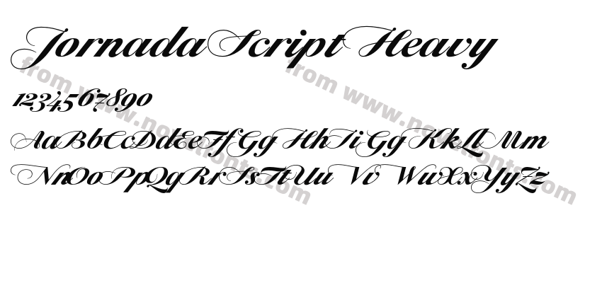 Jornada Script HeavyPreview