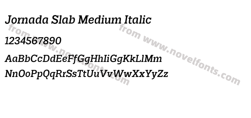 Jornada Slab Medium ItalicPreview