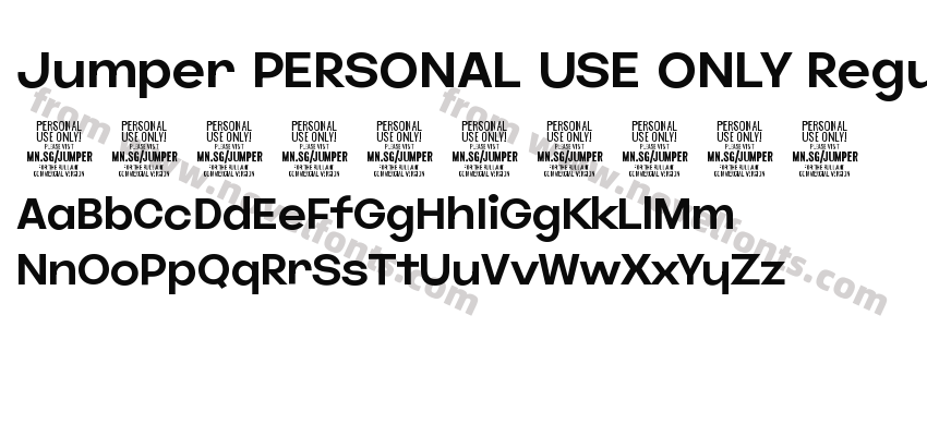 Jumper PERSONAL USE ONLY RegularPreview