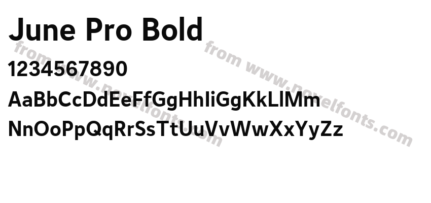 June Pro BoldPreview