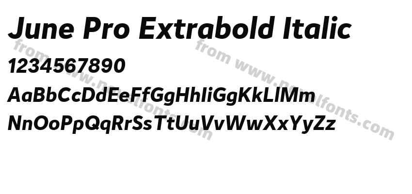 June Pro Extrabold ItalicPreview