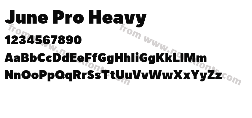 June Pro HeavyPreview