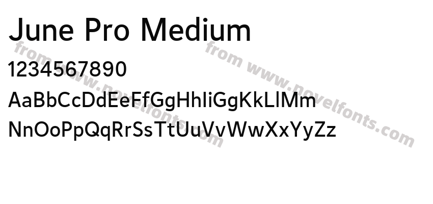 June Pro MediumPreview