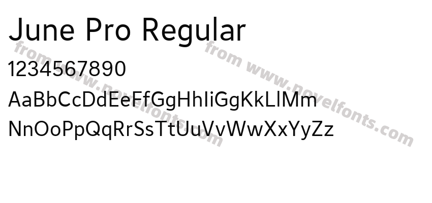 June Pro RegularPreview