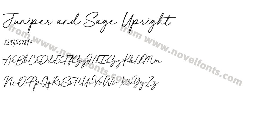 Juniper and Sage UprightPreview