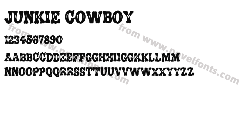 Junkie CowboyPreview