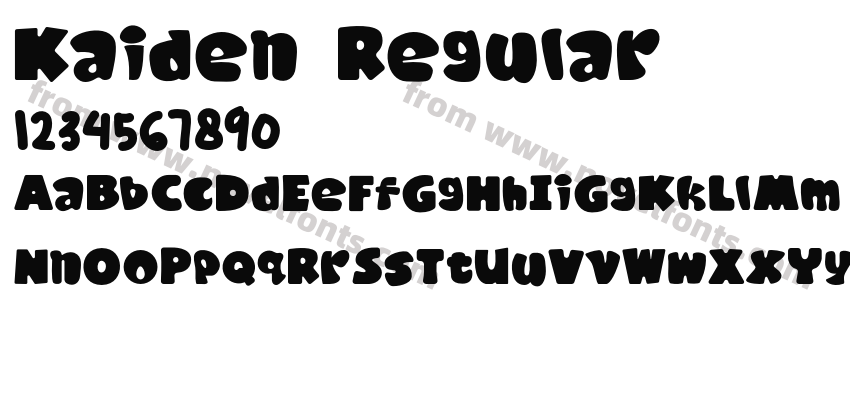 Kaiden RegularPreview