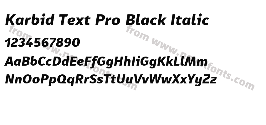 Karbid Text Pro Black ItalicPreview