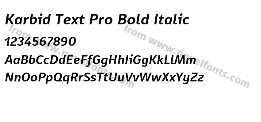 Karbid Text Pro Bold ItalicPreview