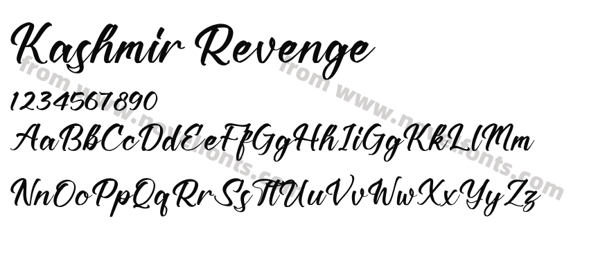Kashmir RevengePreview