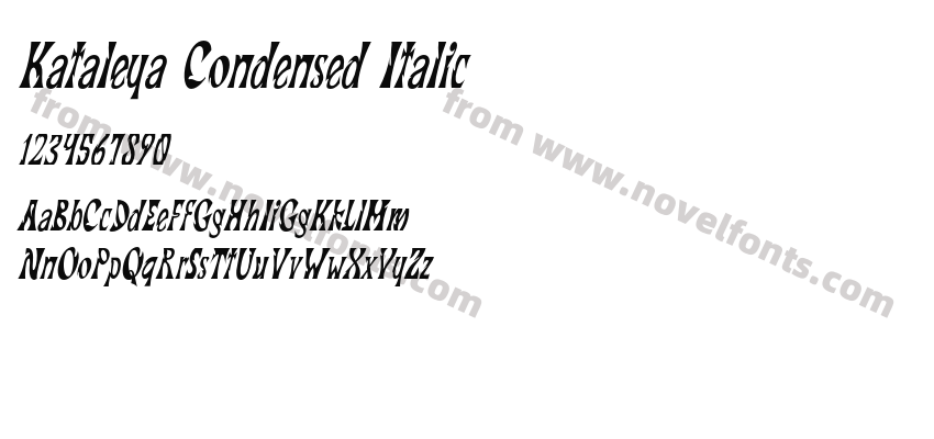 Kataleya Condensed ItalicPreview