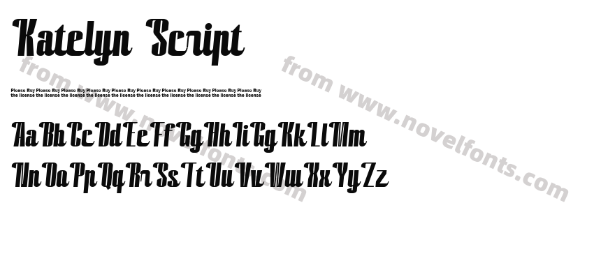 Katelyn ScriptPreview