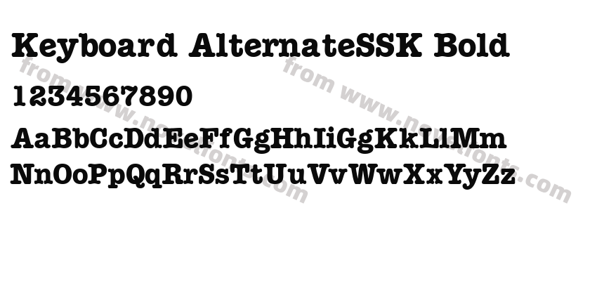 Keyboard AlternateSSK BoldPreview