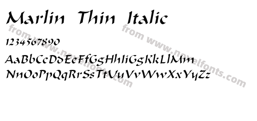 Marlin Thin ItalicPreview