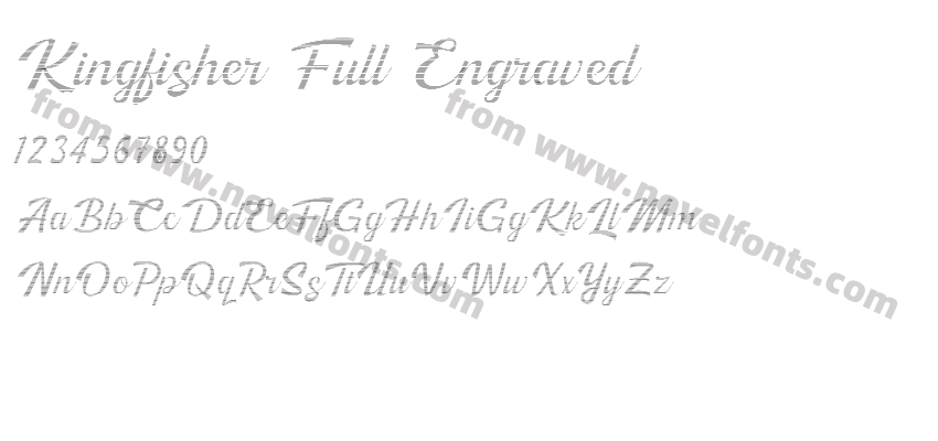 Kingfisher Full EngravedPreview