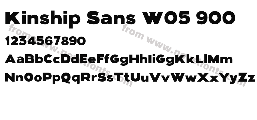 Kinship Sans W05 900Preview