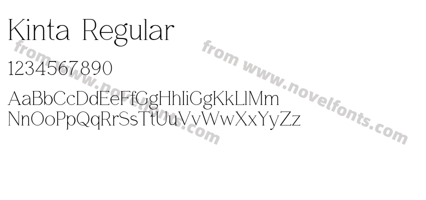 Kinta RegularPreview