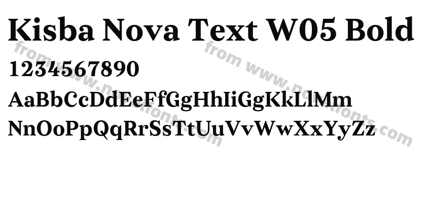 Kisba Nova Text W05 BoldPreview