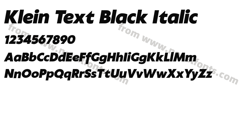 Klein Text Black ItalicPreview