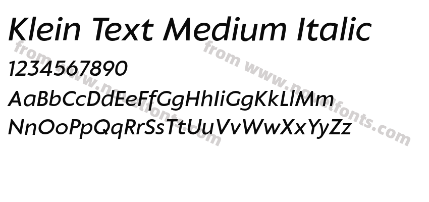 Klein Text Medium ItalicPreview