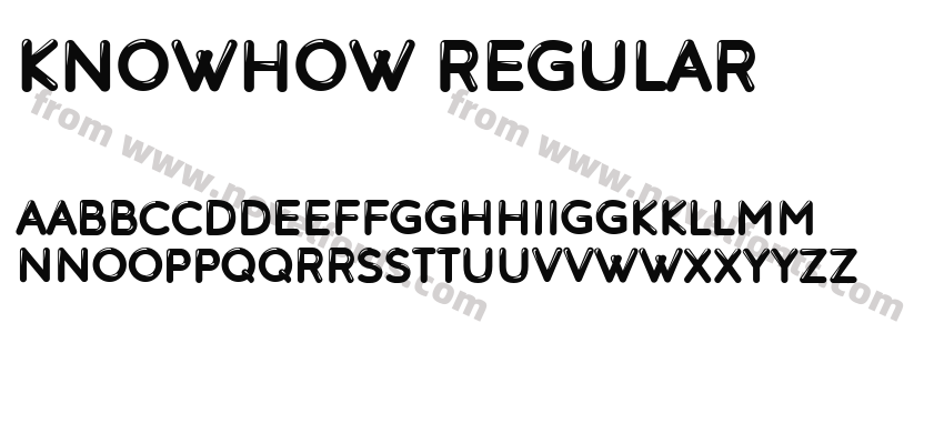 Knowhow RegularPreview