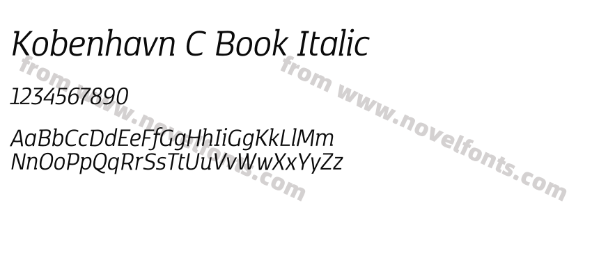 Kobenhavn C Book ItalicPreview