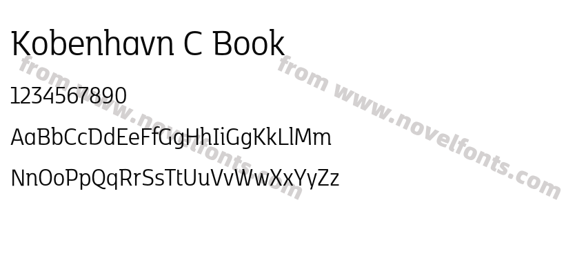 Kobenhavn C BookPreview