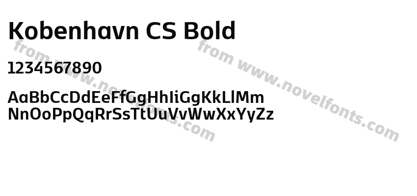 Kobenhavn CS BoldPreview