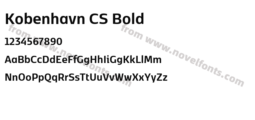Kobenhavn CS BoldPreview