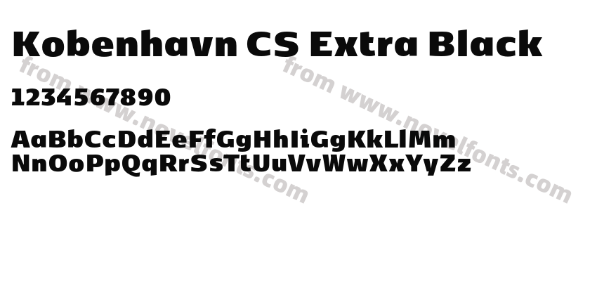 Kobenhavn CS Extra BlackPreview