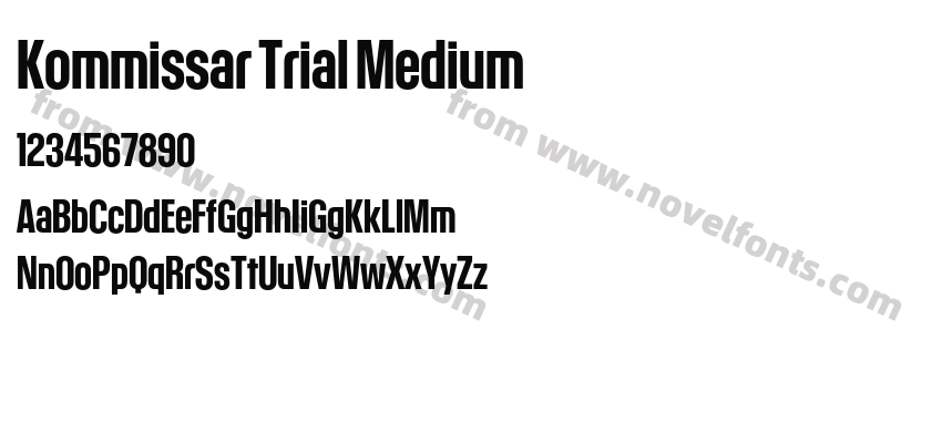 Kommissar Trial MediumPreview