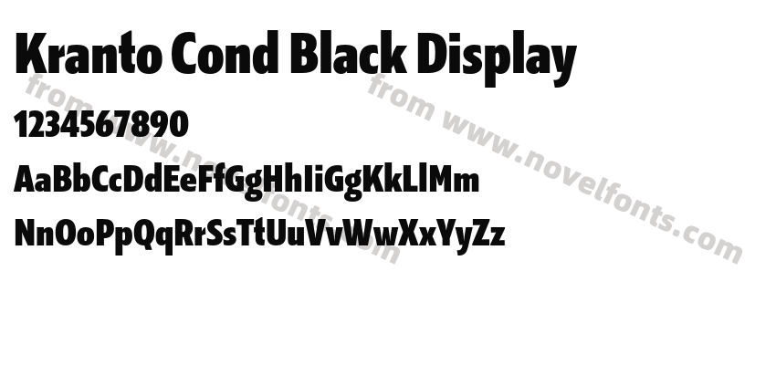 Kranto Cond Black DisplayPreview