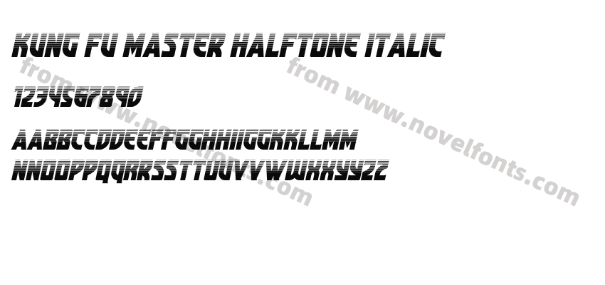 Kung Fu Master Halftone ItalicPreview